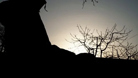 A close-up of the young lad's hands amid the sunset Stock Footage 127361795