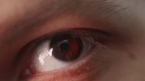 Close up of young man brown eye looking around Stock Footage 347068918