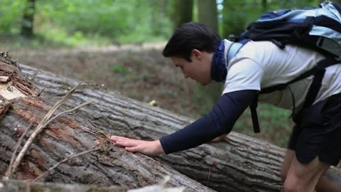 Close-up young man climbing fallen trees in the forest.challenging walk Vidéo 252526838