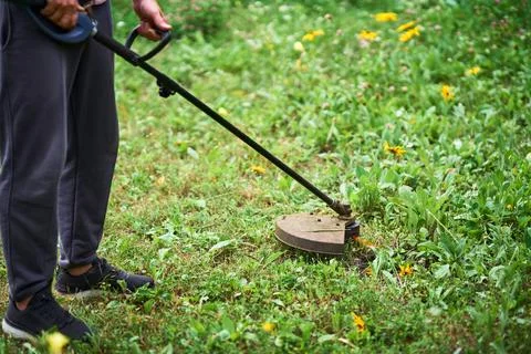 Close up of young man cutting grass with weed cutter on his grassy lawn. Stock Photos