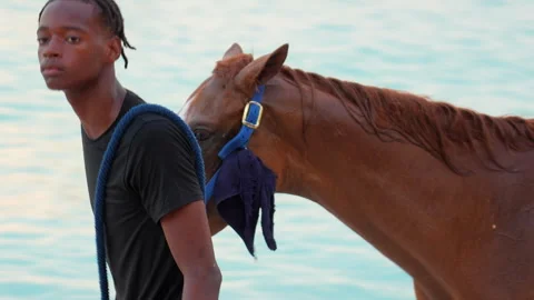 Close-Up of Young Man Walking Horse on Beach in Barbados – Editorial Stock Footage 343317532