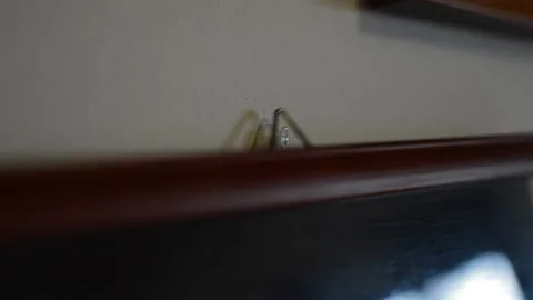 Close-up young man's hand hang a picture at the wall. 库存影片 229703123
