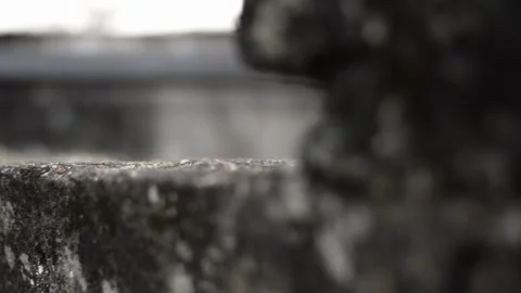 Close-up of a young man's hand leaning on the top of a concrete wall. escaping Stock Footage 231710926