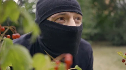 Close-up of a young thief in black clothes sitting in bushes before commiting Video stock 116536498