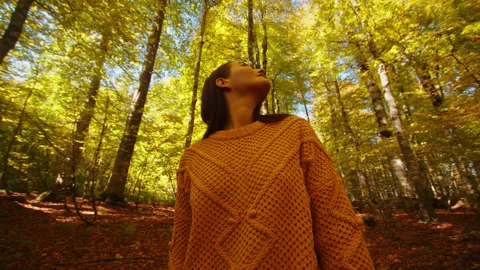 Close-up of young woman looking up to the tree crowns in the fall forest Stock Footage 204052625