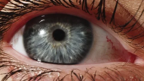Close-up of a young woman's eye. Stock Footage 256165666