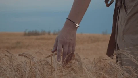 Close up of a young woman's hand touching a golden wheat germ Stock Footage 93835328