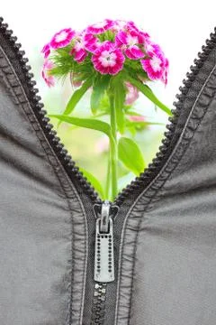 Close-up of zipper, isolated 스톡 일러스트