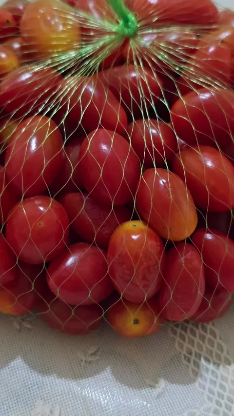 Close-up Zoom of Fresh Cherry Tomatoes. Stock Footage 341756807
