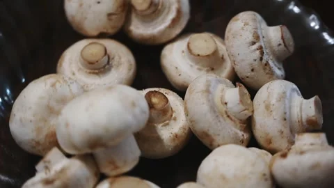 Close-Up Zoom on Fresh White Button Mushrooms Stock Footage 346487389