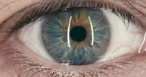 Close up zoom in to the iris Stock Footage 143652465