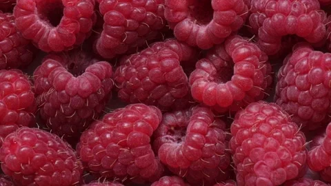Close-up zoom out smooth motion of fresh red raspberry. Stock Footage 136895719