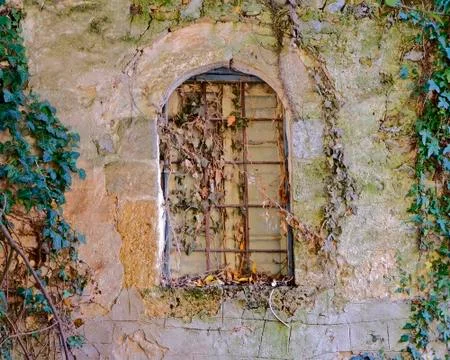 Closed arched window on stone wall and ivy foliage Stock Photos