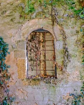 Closed arched window on stone wall and ivy foliage Stock Photos