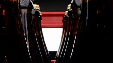 Closed beer bottles in a row in a box close-up Stock Footage 125541702