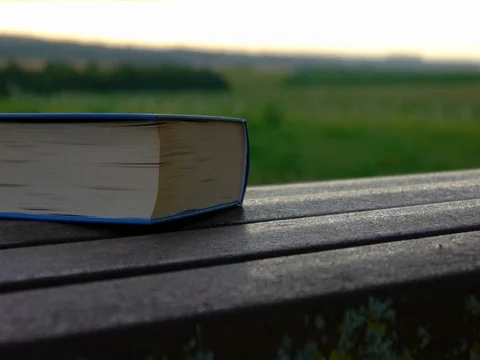 A closed book rests on a bench Stock Footage 77629033