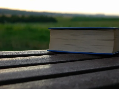 A closed book rests on a bench2 Stock Footage 77629334