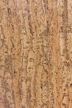 Closed up of brown cork board abstractpattern texture background Stock Photos