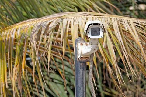Closed up Camera on Sidewalk for security people Stock Photos