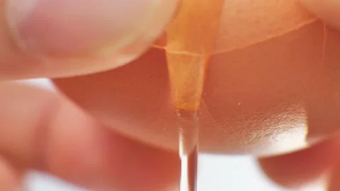 Closed up cracking fresh chicken egg, slow motion Stock Footage 218318336
