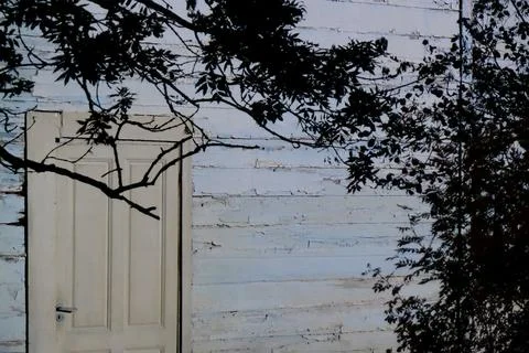 Closed Door and Branches with Copy Space Foto stock