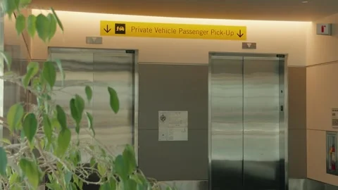 Closed Elevator Doors Behind Decorative Indoor Plant Stock Footage 346207982