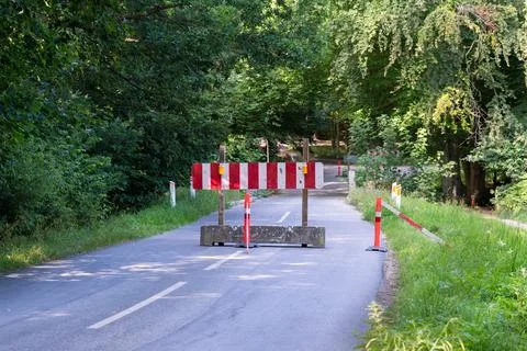 Closed forest road Stock Photos
