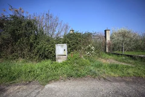 Closed gate in a garden Stock Photos