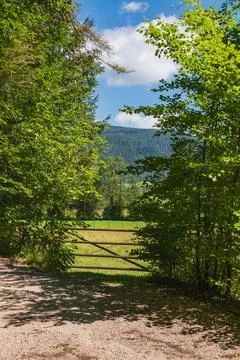 Closed Gate At The Meadow Stock Photos