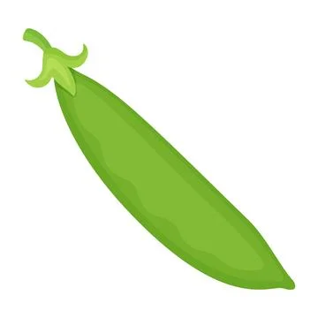 Closed green pea pod with stem vector illustration Stock Illustration