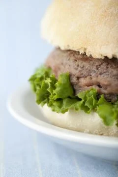 Closed up hamburger Stock Photos