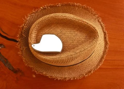 Closed up of the hat Stock Photos