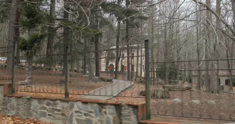 Closed House in the woods Stock Footage 175668489