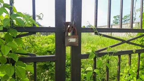 Closed Iron Gate with lock. Padlock on Iron Gate Stock Photos
