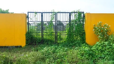 Closed Iron Gate with lock. Padlock on Iron Gate Stock Photos