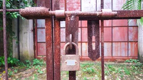 Closed Iron Gate with lock. Padlock on Iron Gate. Stock Photos