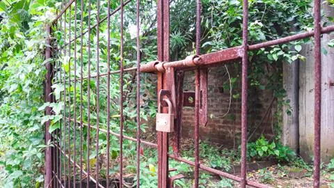 Closed Iron Gate with lock. Padlock on Iron Gate. Stock Photos