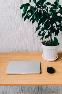 Closed Laptop On Table Stock Photos