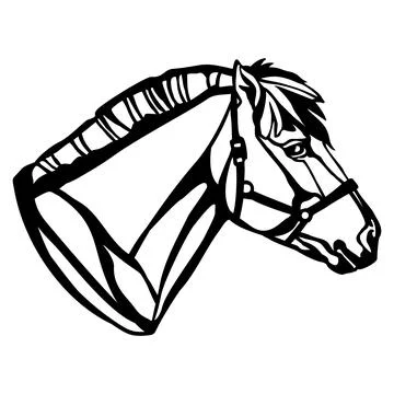 Closed-loop pony fjord head template vector illustration Stock Illustration