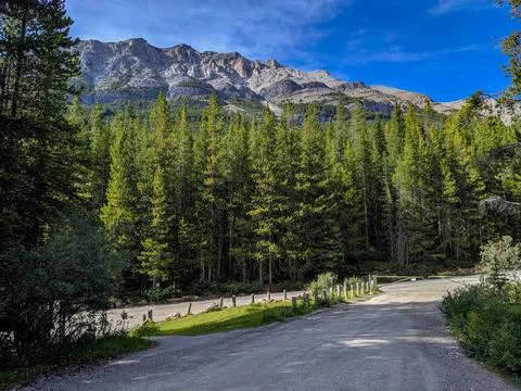 A Closed Off Mountain Road Through A Pine Forest with Rugged Mountain Peaks Foto stock