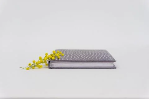 Closed notebook isolated on white for background. Side view Closeup of a gray Stock Photos