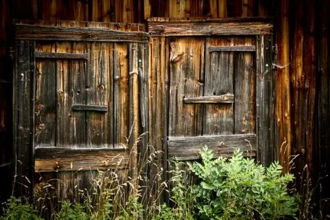 Closed old door Foto stock
