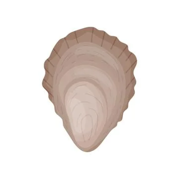 Closed oyster shell. Vector illustration on white background. Illustrazione stock