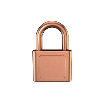 Closed padlock.Isolated on white background. 3D rendering illustration. Stock Illustration