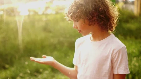 Closed portrait of a curly-haired boy. The schoolboy stands under the summer Stock Footage 90887670