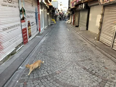 Closed shops and empty street Foto stock