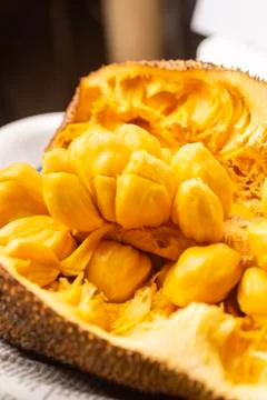 Closed up shot of opened jackfruit or locally known as cempedak/chempedak Stock Photos