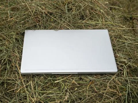 Closed silver laptop lies on a haystack. Close-up, modern technologies in the Stock Photos