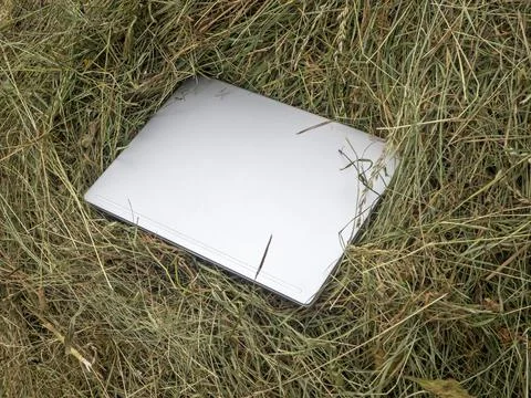 Closed silver laptop lies on a haystack. Close-up, modern technologies in the Stock Photos