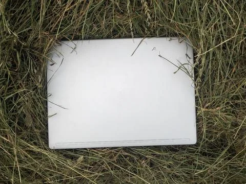 Closed silver laptop lies on a haystack. Close-up, modern technologies in the Stock Photos